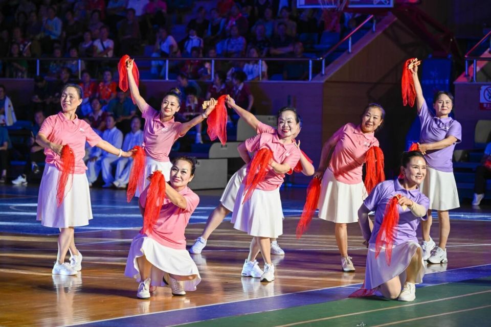 政府主办的 政府主办的