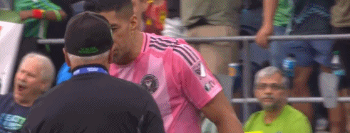 莱斯, 这也足够体 莱斯, 这也足够体