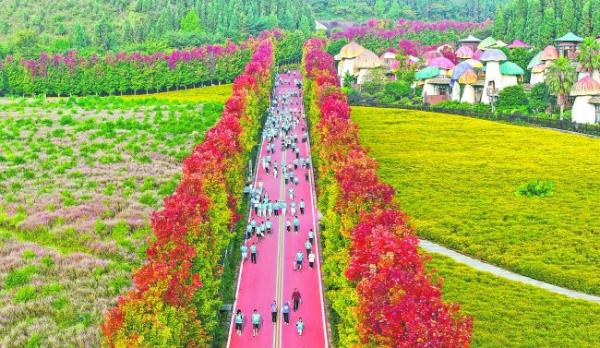 油文化院 油文化院